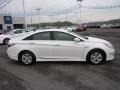 Porcelain White Pearl - Sonata Hybrid Photo No. 8