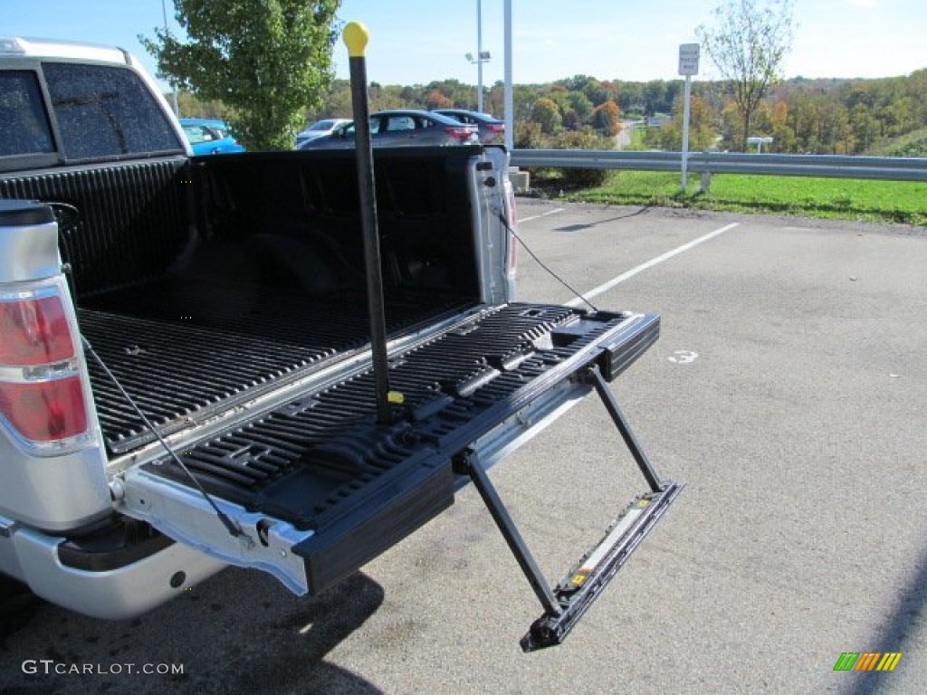 2010 F150 Platinum SuperCrew 4x4 - Ingot Silver Metallic / Sienna Brown Leather/Black photo #10