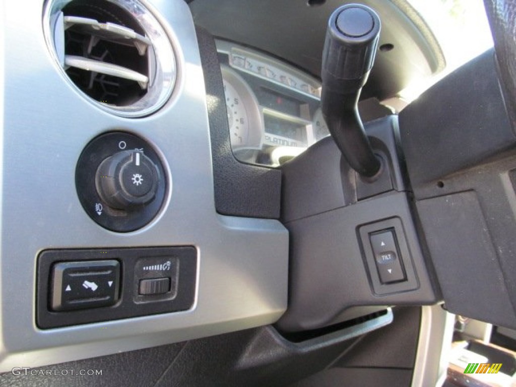 2010 F150 Platinum SuperCrew 4x4 - Ingot Silver Metallic / Sienna Brown Leather/Black photo #13