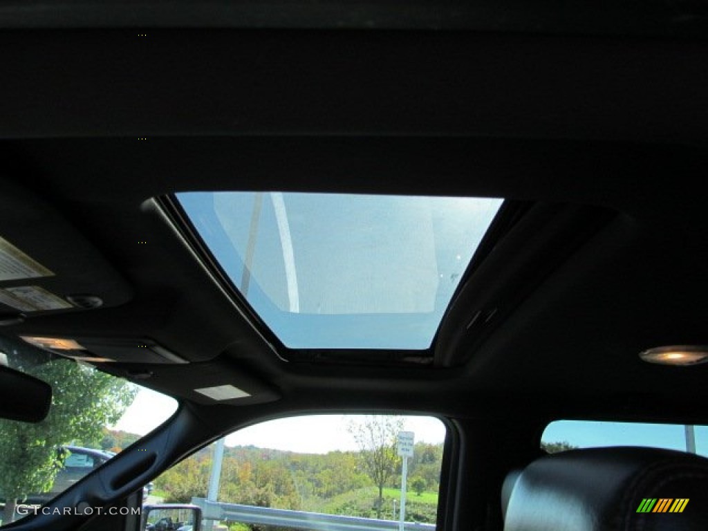 2010 F150 Platinum SuperCrew 4x4 - Ingot Silver Metallic / Sienna Brown Leather/Black photo #16