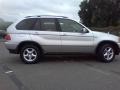 Titanium Silver Metallic - X5 3.0i Photo No. 17