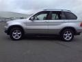 Titanium Silver Metallic - X5 3.0i Photo No. 18