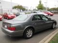 2003 Thunder Gray ChromaFlair Cadillac Seville STS  photo #5