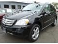 Black - ML 350 4Matic Photo No. 3