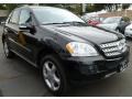 Black - ML 350 4Matic Photo No. 4