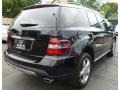 Black - ML 350 4Matic Photo No. 5