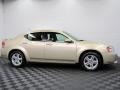 White Gold - Avenger R/T Photo No. 6