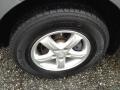 Steel Gray - Santa Fe GLS Photo No. 4