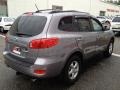 Steel Gray - Santa Fe GLS Photo No. 8
