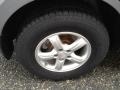 Steel Gray - Santa Fe GLS Photo No. 9