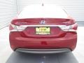Venetian Red Pearl - Sonata Hybrid Photo No. 4