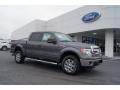 Sterling Gray Metallic 2013 Ford F150 XLT SuperCrew 4x4 Exterior