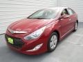 Venetian Red Pearl - Sonata Hybrid Photo No. 6