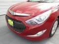 Venetian Red Pearl - Sonata Hybrid Photo No. 9