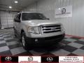 Silver Birch Metallic 2007 Ford Expedition XLT