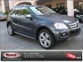 2010 Steel Grey Metallic Mercedes-Benz ML 350  photo #1