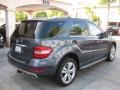 2010 Steel Grey Metallic Mercedes-Benz ML 350  photo #2