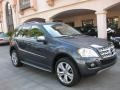 2010 Steel Grey Metallic Mercedes-Benz ML 350  photo #27