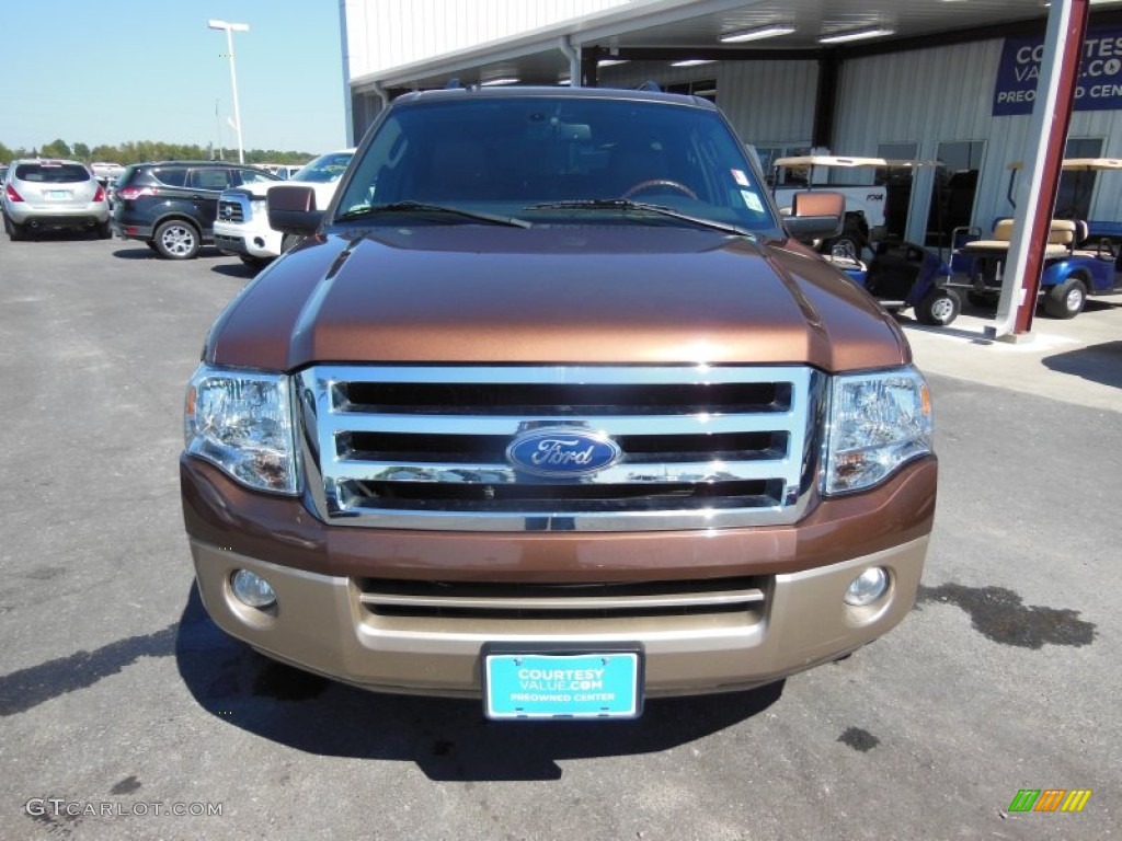 2011 Expedition EL XLT - Golden Bronze Metallic / Camel photo #2