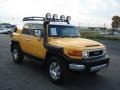 Sun Fusion Yellow - FJ Cruiser 4WD Photo No. 4