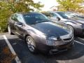 Graphite Luster Metallic - TL 3.5 Photo No. 1