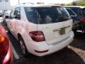 Arctic White - ML 350 4Matic Photo No. 3