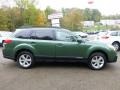 2013 Cypress Green Pearl Subaru Outback 2.5i Premium  photo #2