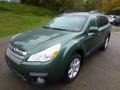 2013 Cypress Green Pearl Subaru Outback 2.5i Premium  photo #7