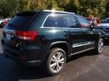 2013 Black Forest Green Pearl Jeep Grand Cherokee Laredo 4x4  photo #3