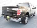 2011 Tuxedo Black Metallic Ford F150 XLT SuperCrew 4x4  photo #3