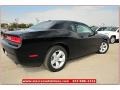 Pitch Black - Challenger SXT Photo No. 5