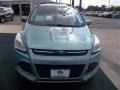 2013 Frosted Glass Metallic Ford Escape SE 1.6L EcoBoost  photo #15