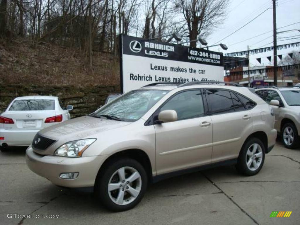 Savannah Metallic Lexus RX