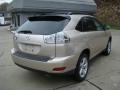 2006 Savannah Metallic Lexus RX 330 AWD  photo #4