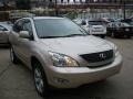 Savannah Metallic - RX 330 AWD Photo No. 5