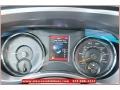 Bright Silver Metallic - Charger SE Photo No. 26