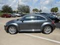 Platinum Gray Metallic - Beetle TDI Photo No. 4