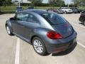 Platinum Gray Metallic - Beetle TDI Photo No. 5