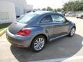 Platinum Gray Metallic - Beetle TDI Photo No. 7