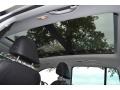 Reflex Silver Metallic - Tiguan SEL Photo No. 19
