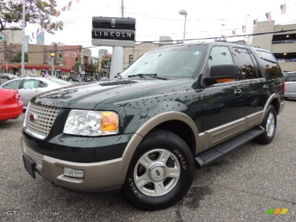 2003 Expedition Eddie Bauer 4x4 - Aspen Green Metallic / Medium Parchment photo #1