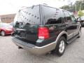 2003 Aspen Green Metallic Ford Expedition Eddie Bauer 4x4  photo #7