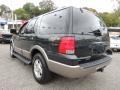 2003 Aspen Green Metallic Ford Expedition Eddie Bauer 4x4  photo #10