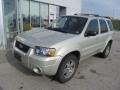 2005 Gold Ash Metallic Ford Escape Limited 4WD  photo #2