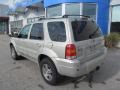 2005 Gold Ash Metallic Ford Escape Limited 4WD  photo #5