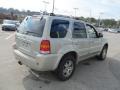 2005 Gold Ash Metallic Ford Escape Limited 4WD  photo #7