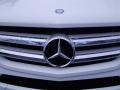 Arctic White - GL 450 4Matic Photo No. 6