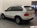 Alpine White - X5 3.0i Photo No. 21