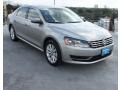 2013 Tungsten Silver Metallic Volkswagen Passat 2.5L SEL  photo #1