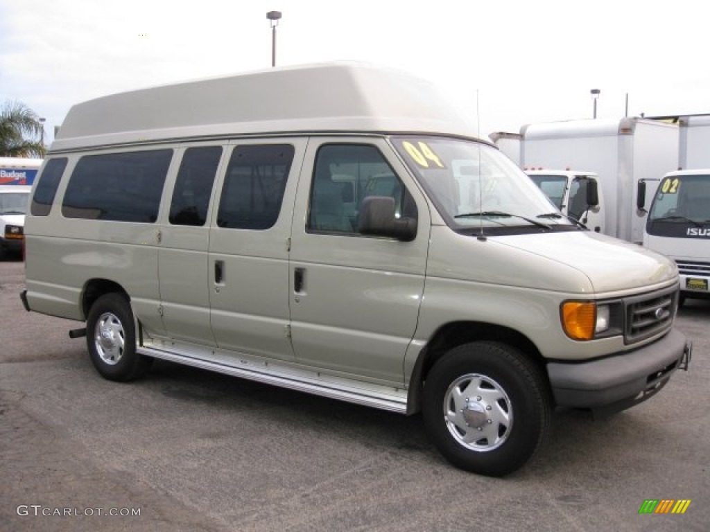 Gold Ash Metallic Ford E Series Van